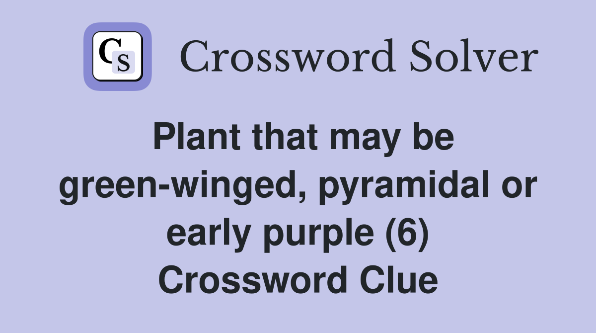 Plant that may be greenwinged, pyramidal or early purple (6